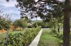 Casa (70m2) si teren Bordea (1000m2) de vanzare