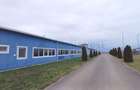Spatiu industrial de vanzare in Biharia, hala 1200 mp si 23772 mp teren - 3
