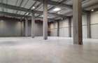 Spatiu Industrial - 5000 mp - Logistica - Productie - Depozitare - Distributie - 7