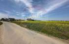 Teren 545,000mp Dragomiresti-Vale - 16