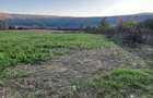 Teren extravilan-arabil 5800m2 - 3