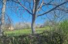 Gradina intravilan 16 arii - 4