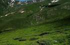 Teren gol alpin pa?une de 18.5 ha, muntele Stana Mare, jud Gorj - 1
