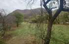 Teren intravilan 2500mp Criscior