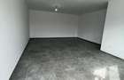 Spatiu comercial Mosnita Noua