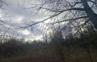 Vand teren intravilan 4900m2 - 6