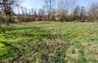 Rachitova, Casa 8 Incaperi, 3800mp Teren, Usor Negociabil - 15