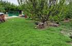 Casă cu 4 camere cu Teren 13000 Mp în Oncești - 2