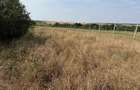 Teren intravilan Miersig, vedere la lac. 12,5 E/mp neg. Comision 0 - Miersig (Bihor) - 9