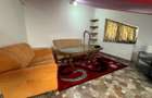 Apartament 3 camere , Visan - 6