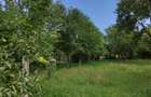 Casă cu 4 camere în Valea Cufundoasă - 6