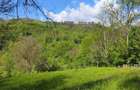 Teren Cabana Ocolis Alba langa rau de munte, 4000 mp, SUPER OFERTA - 5