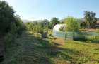 Teren intravilan pentru casa - 4