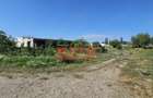 NOU! Teren intravilan, S= 2793 mp, cu constructie, Zona Lic. Agricol! - 6