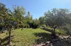 Vila Cu Personalitate|Oaza De Relaxare|BufteaCalul Balan|Teren 756mp