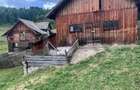 Teren INTRAVILAN, ideal pentru investitie, ?aru Dornei, 36.000 mp - 8