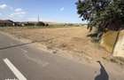 Teren Intravilan 764 Mp - Asfalt - Dudovicesti - Simnicul de sus - 3