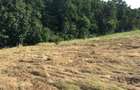 Teren de vanzare Primul lot langa padure, 900 mp