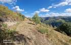 Vand doua parcele de teren in suprafa?a de 3000 ?i 4700 mp - 8