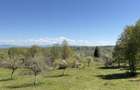 Teren intabulat de vanzare in satul Breb, Maramures - 1