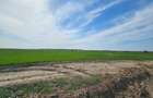 Investi?ie Afuma?i: Teren 3303-7569mp Acces Direct A0 Deschidere 55-78 - 7