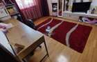 Apartament 2 camere decomandat, pe sud, Zona Lidl Darmanesti - 1