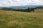Vand 16 hectare de pasune - 2