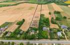 Casa gospodareasca cu teren generos 1,1 Ha in Silistea, Com. Todiresti - 1