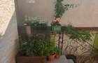Apartament 2 camere Bazilescu - 4