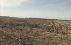 Vand 1,04 Ha Teren Agricol Arad (Santoma) Langa Autostrada A1 - 3