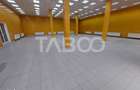 Spatiu comercial de inchiriat 300 mpu Sibiu zona Terezian - 8