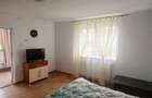 Casa de inchiriat cu 2 camere, mobilata si utilata, curte, Alba Iulia - 10