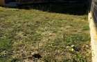 Apartament cu 2 camere , gradina 190mp + parcare - 8