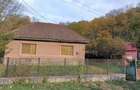 Casă cu 4 camere cu Teren 2878 Mp în Dognecea - 3