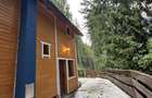 Chalet & A-Frame Rucar | Business Turistic Premium, 2107mp - 8