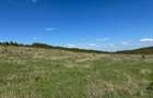 48 Hectare Teren extravilan arabil 5800 Ha euro - 2