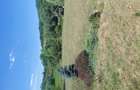 Vand teren plus lac plus 2 cabane si foisor