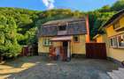 Cabana la munte, zona Some?ul cRece - 9