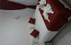 Apartament Mont Blanc - 2 camere , baie , bucatarie