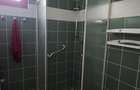 Vanzare vila P+1+M cu 5 camere, casa batraneasca , 2 garaje, teren 9249mp, - 17
