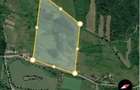 Teren 2,53 ha cu 4.458 mp intravilan - 4