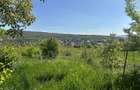 Tere intravilan Str Odobesti/Puz - 3
