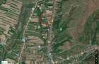 Teren Titesti, Bucsanesti Lotasi, 6934 mp, toate utilitatile - 5