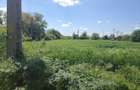 Vanzare teren intravilan 1656 mp - doar 9500 euro - 1