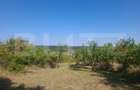 Teren constructii, 2493 mp, zona Central - 3