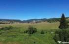 Teren in Bucovina! La Munte! De ! 0727817187 - 1