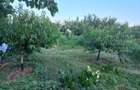 Vand casa de locuit si teren agricol si livada - 5