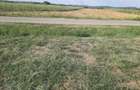 Teren intravilan 2600 mp cu toate utilitatile la strada Babeni Valcea - 4
