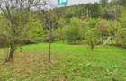 Teren de 1000mp in Lipova pentru o casa de vacan?a - 2