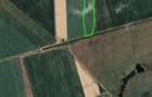 Vand 1Ha teren extravilan agricol - 3